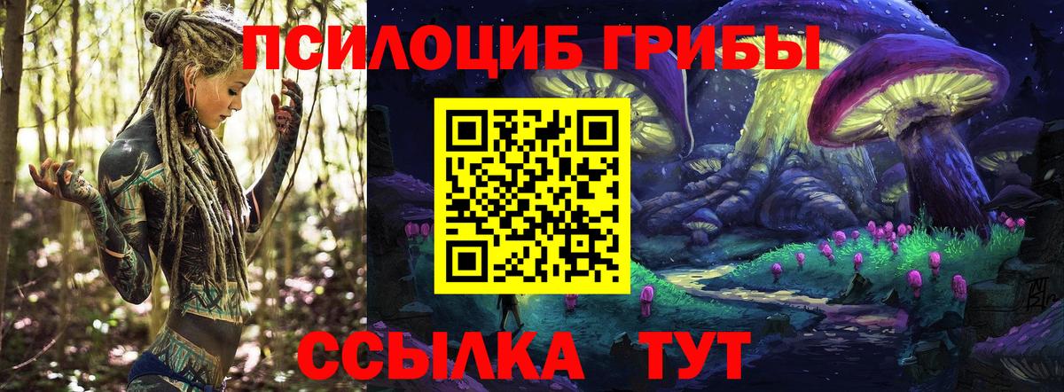 Ливны  Галлюциногенные грибы Psilocybine cubensis  Вход с VPN 